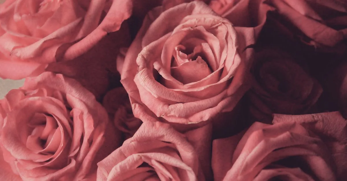 découvrez l'univers enchanteur des fleurs parfumées. plongez dans un jardin de senteurs envoûtantes, où chaque fleur exhale des arômes uniques pour élever votre esprit et embellir votre quotidien.