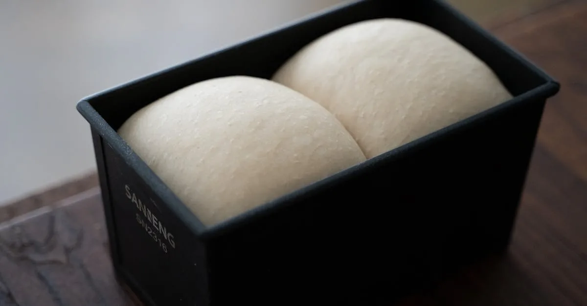 découvrez l'art de la fermentation avec notre guide sur le levage du pain. apprenez les astuces pour obtenir une mie aérée et savoureuse grâce à des techniques de pétrissage et de repos optimales.