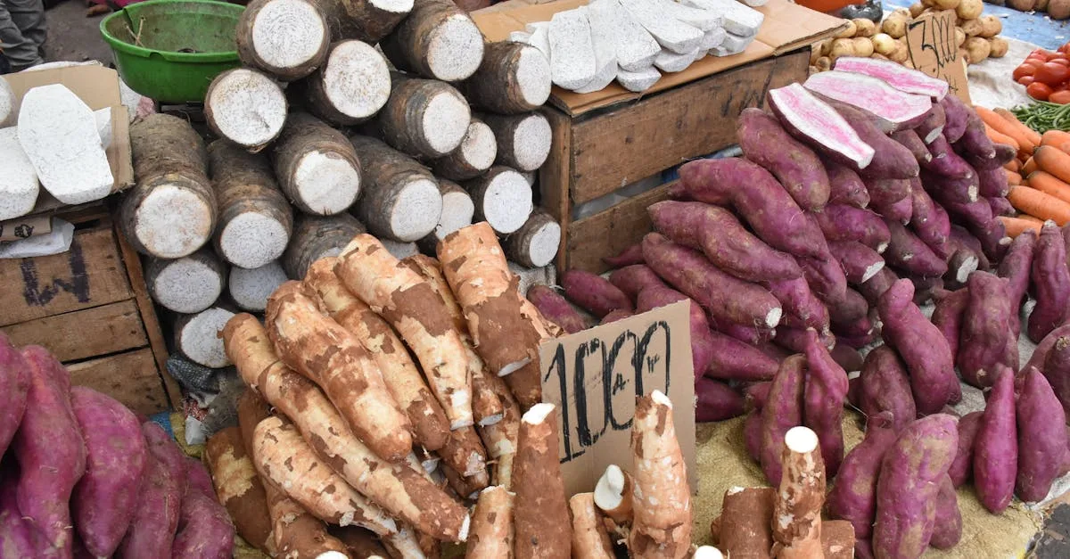 découvrez les bienfaits de l'arrowroot, une farine naturelle sans gluten, idéale pour les recettes sucrées et salées. apprenez à l'utiliser en cuisine et ses propriétés nutritionnelles.