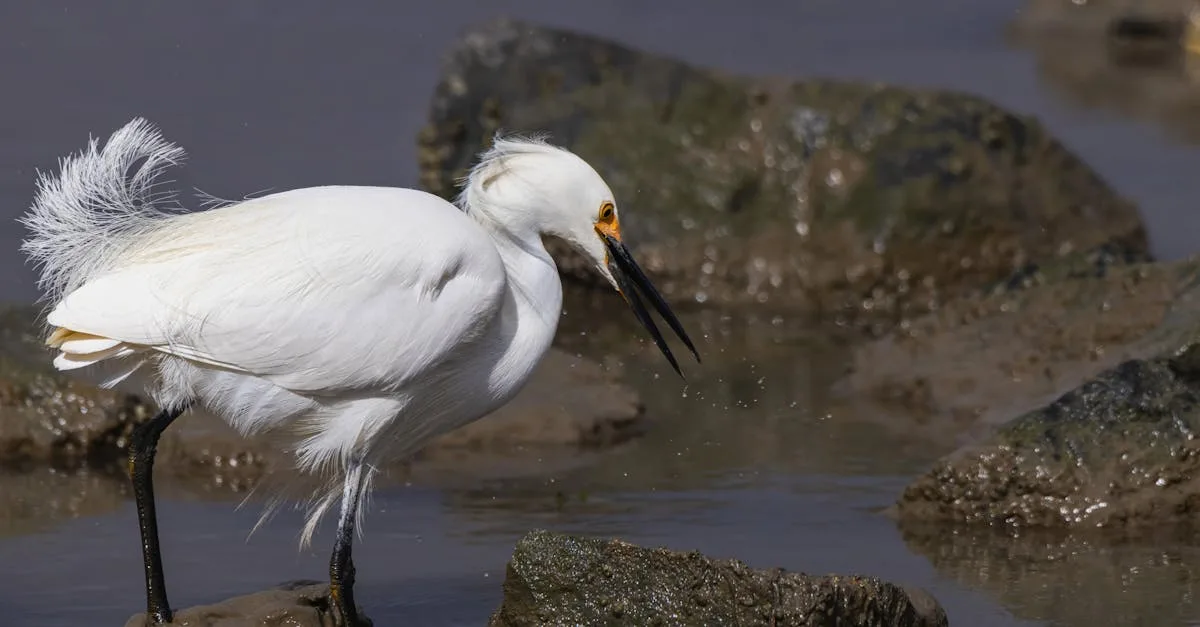 découvrez tout sur le métier d'avocat, ses missions, ses spécialités et le parcours pour exercer ce métier passionnant. informez-vous sur les droits, la justice et l'accompagnement juridique.