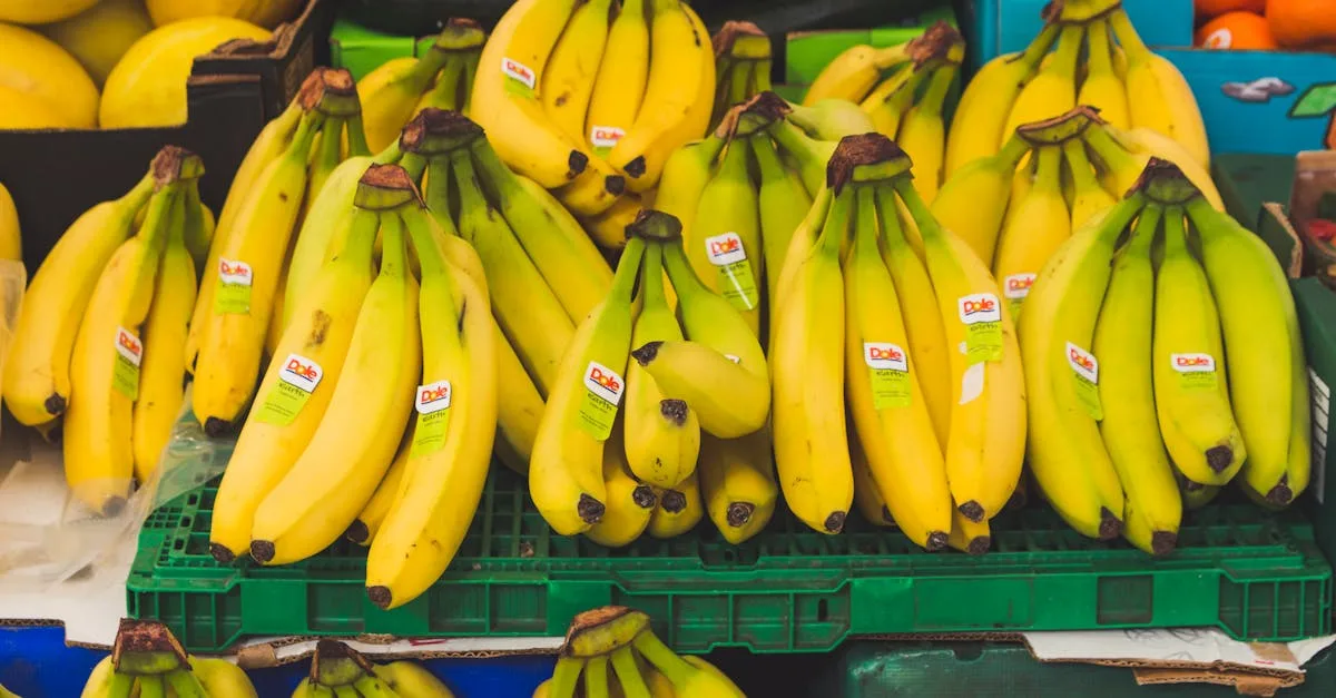 découvrez tout sur la banane : ses bienfaits nutritionnels, ses différentes variétés, astuces de conservation et idées de recettes faciles pour profiter pleinement de ce fruit savoureux et énergétique.
