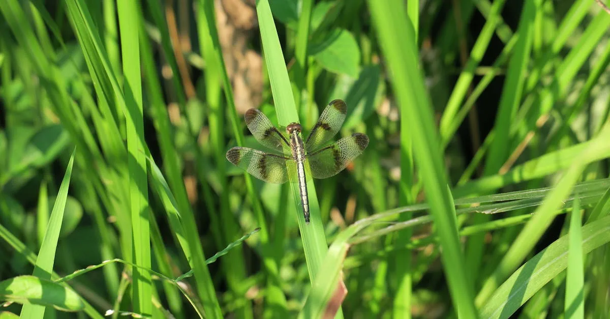 découvrez les avantages d’un incinérateur de jardin pour éliminer efficacement vos déchets verts, branches et feuilles. facile à utiliser et écologique, l’incinérateur facilite l’entretien de votre espace extérieur.