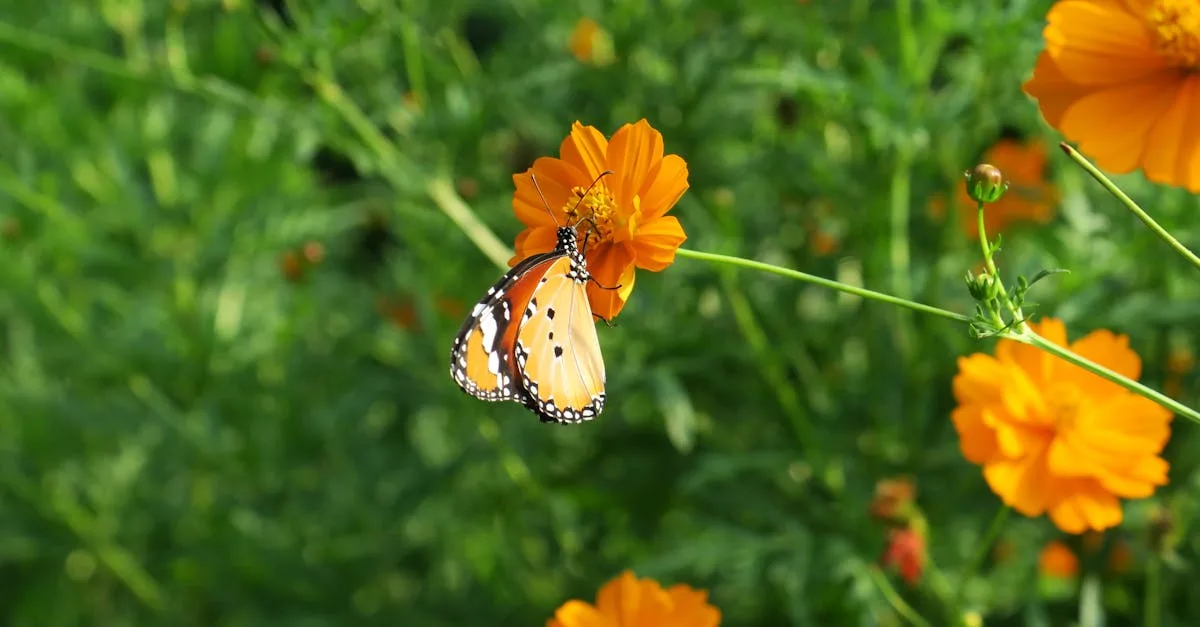 découvrez comment utiliser un incinérateur de jardin pour éliminer efficacement les déchets verts et branches tout en respectant l’environnement. conseils d’utilisation, sécurité et astuces pour entretenir votre jardin proprement.