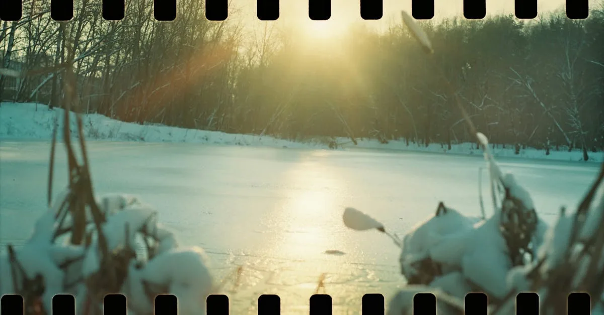 découvrez les meilleures méthodes pour décongeler vos aliments en toute sécurité et préserver leur qualité.