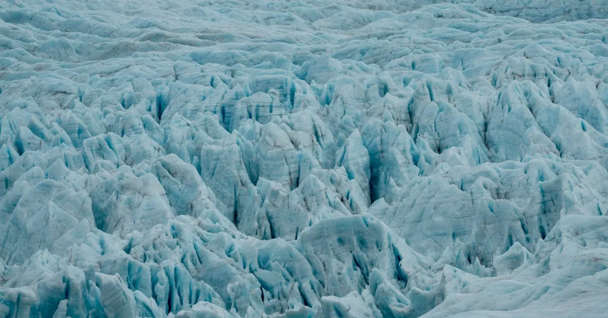 découvrez tout ce qu'il faut savoir sur la décongélation : méthodes efficaces, conseils pratiques et astuces pour préserver la qualité de vos aliments.