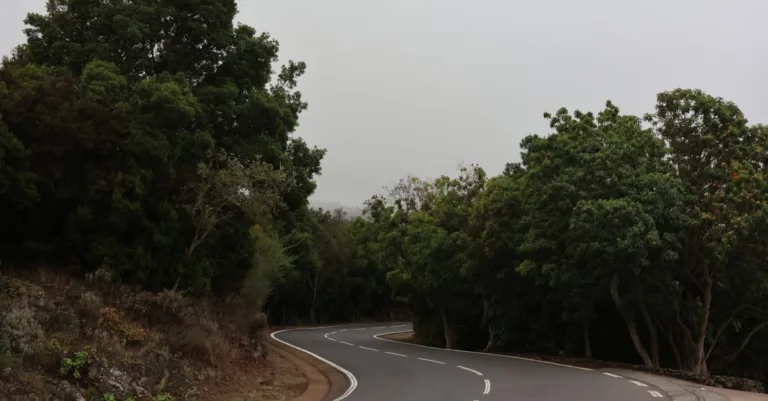 découvrez les tarifs des enrobés et revêtements chez daniel moquet, expert en aménagement extérieur et décoration minérale.