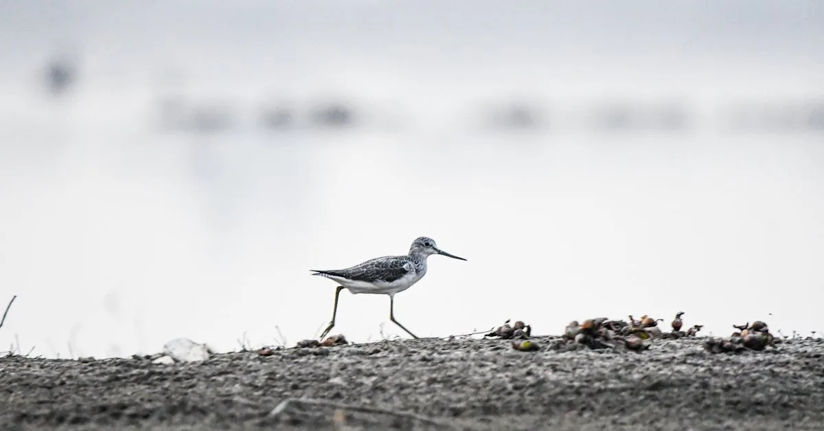 découvrez tout sur l'habitat : conseils, aménagement, décoration et astuces pour un intérieur confortable et fonctionnel.