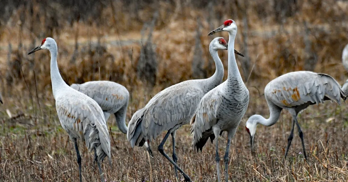 découvrez des conseils, astuces et idées pour aménager, décorer et améliorer votre habitat, afin de créer un espace de vie confortable et harmonieux.