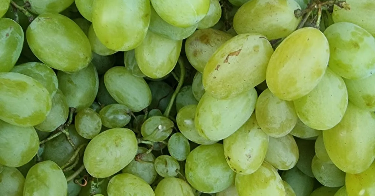 découvrez les avantages de la nutrition personnalisée pour optimiser votre santé, améliorer votre bien-être et adapter votre alimentation à vos besoins uniques.