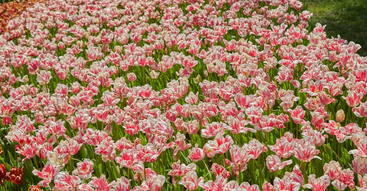 découvrez les inconvénients de l'arbre tulipier, incluant ses besoins spécifiques, son entretien et les problèmes potentiels pour votre jardin.
