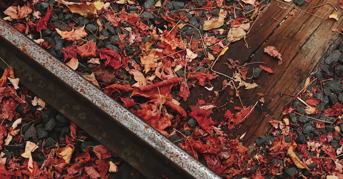 service d'installation de traverses paysagères pour aménager votre jardin avec style et durabilité. pose professionnelle et conseils personnalisés.